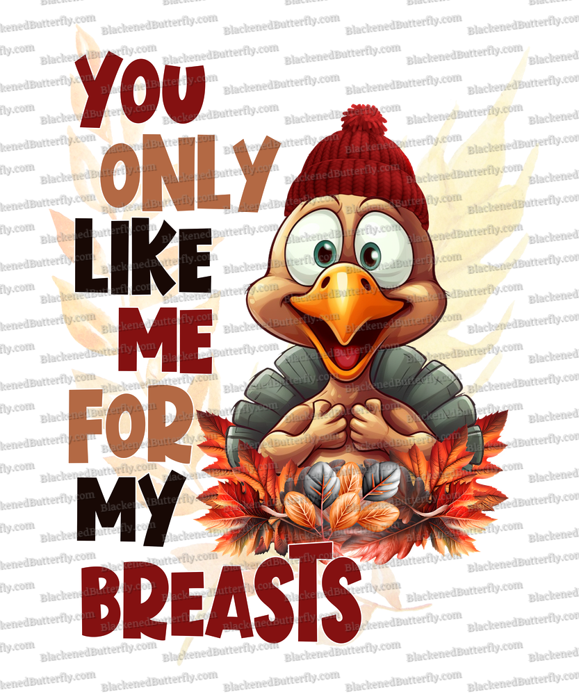 You Only Like Me For My Breast