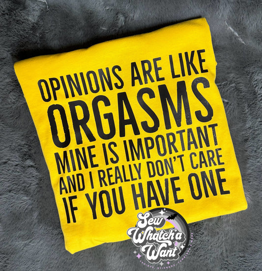 Opinions are like Orgasms