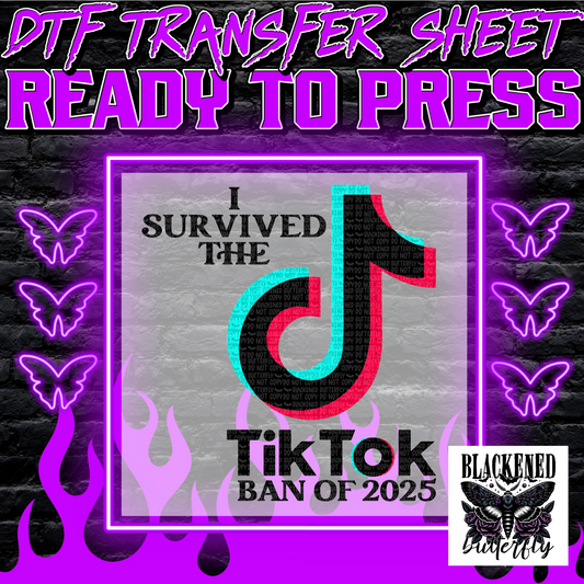 I Survived The TikTok Ban