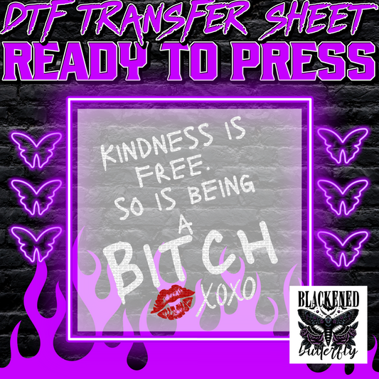 Kindness Is Free So Is Being A Bitch