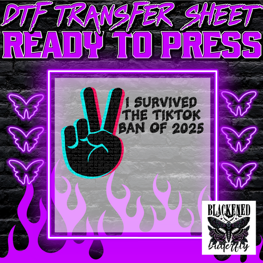 2025 TikTok Ban