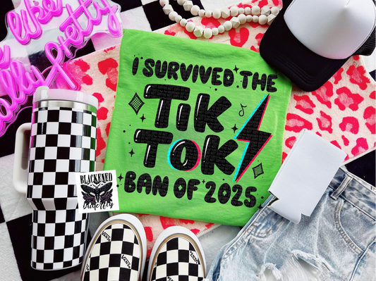 TikTok Ban 2025